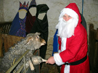 Christmas at Blaze Farm