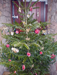 Christmas at Blaze Farm