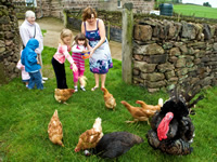 School visits at Blaze Farm