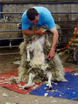 The Wool Experience, every July at Blaze Farm