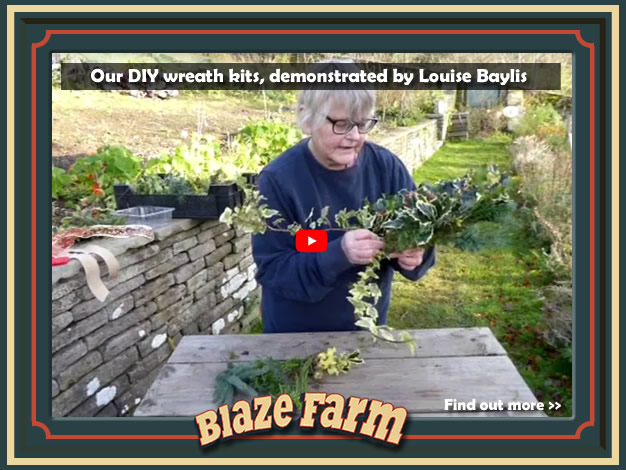 Our DIY Wreath kits, demonstrated by Louise Baylis. Click for the video.