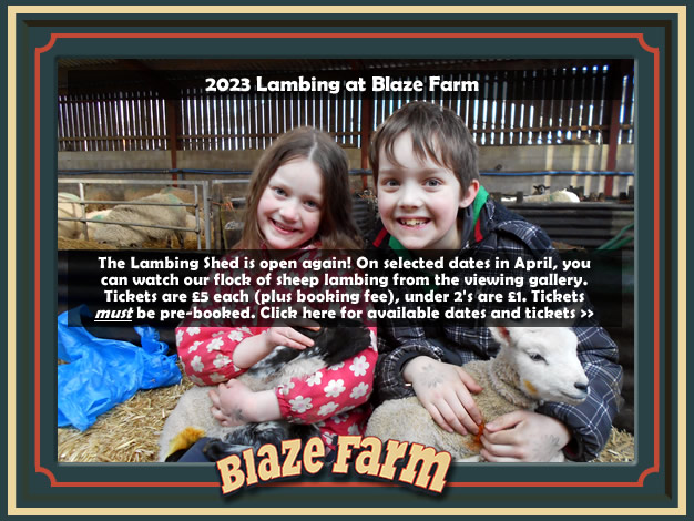 The Lambing Shed is open again! Click here for available dates and tickets.