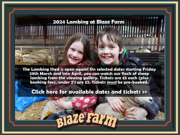 The Lambing Shed is open again! Click here for available dates and tickets.