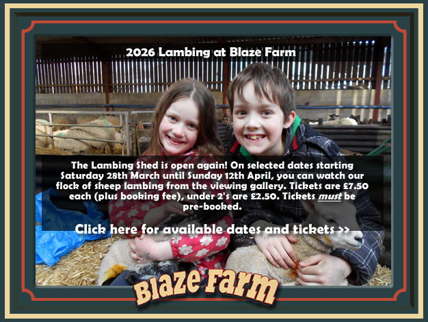 The Lambing Shed is open again! Click here for available dates and tickets.
