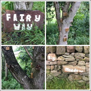 Nature trails at Blaze Farm