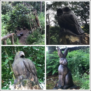 Nature trails at Blaze Farm