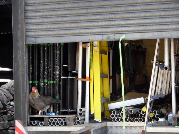 One of our cheeky chickens in the back of one of the props lorries – they were extras too!
