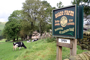 Blaze Farm is open from 10am to 5.30pm all year round, Thursday to Sunday and also Bank Holiday Mondays.