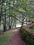 Nature trails at Blaze Farm