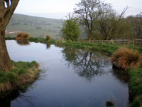 Nature trails at Blaze Farm