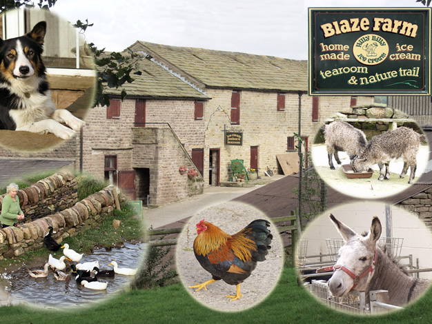 Blaze Farm, Wildboarclough